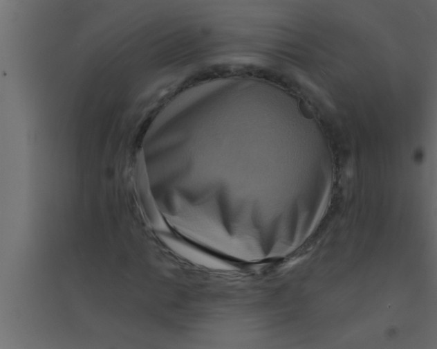 X0000094211014200711241655