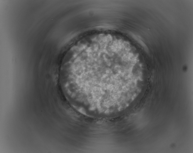 X0000094211015200711241655