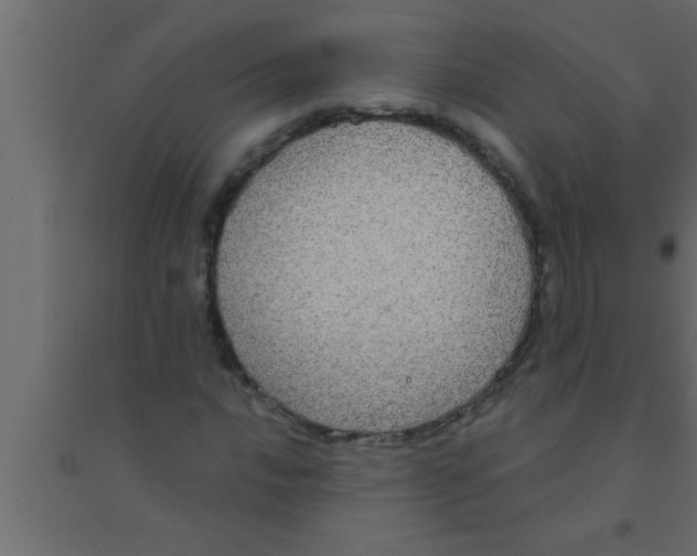 X0000094211016200711241655