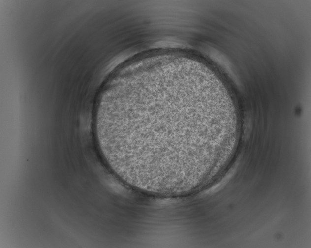 X0000094211017200711241655