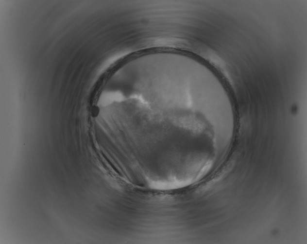 X0000094211019200711241655