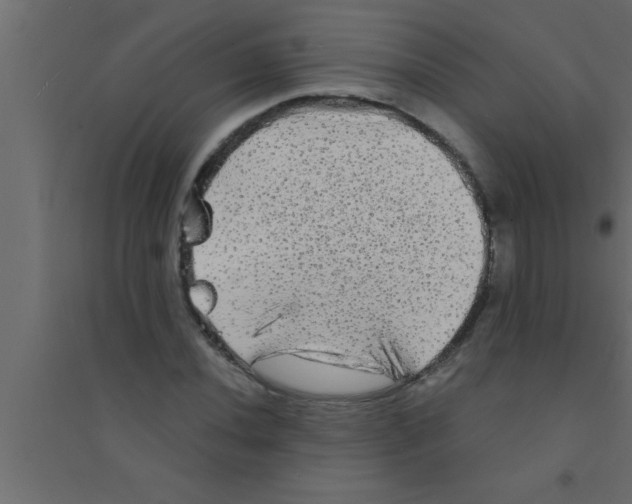 X0000094211020200711241655