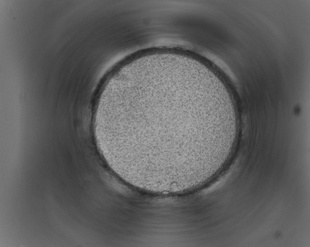 X0000094211021200711241655