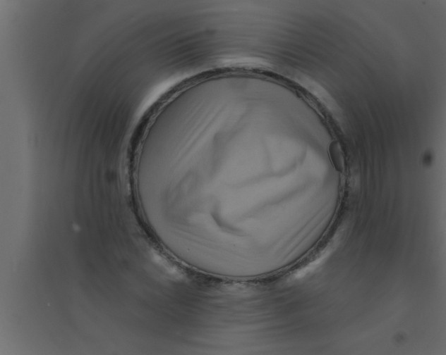 X0000094211022200711241655