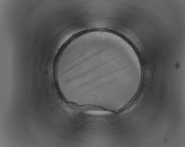X0000094211023200711241655