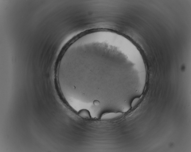 X0000094211024200711241655