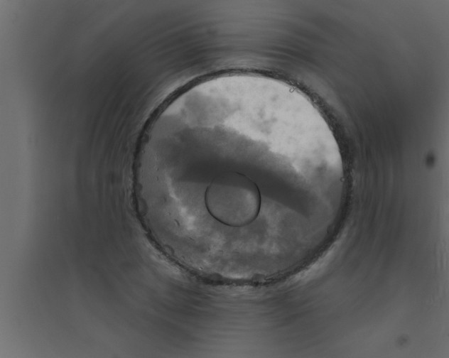 X0000094211025200711241655