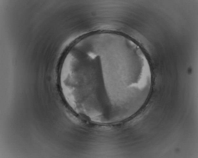 X0000094211027200711241655