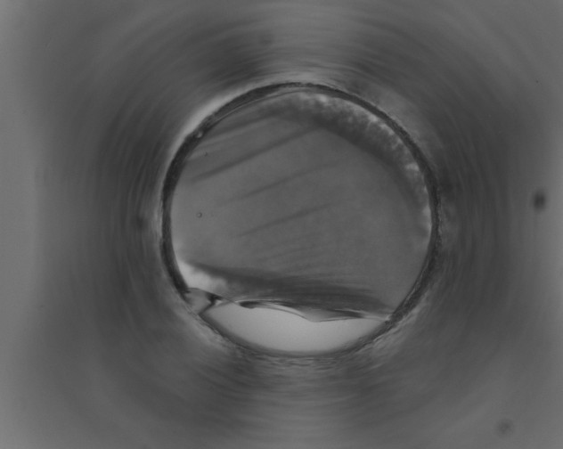 X0000094211028200711241655