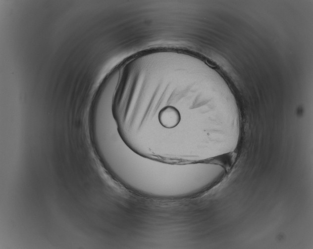 X0000094211030200711241655