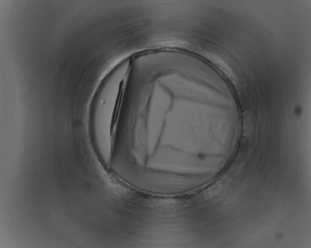 X0000094211031200711241655