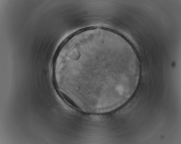 X0000094211032200711241655