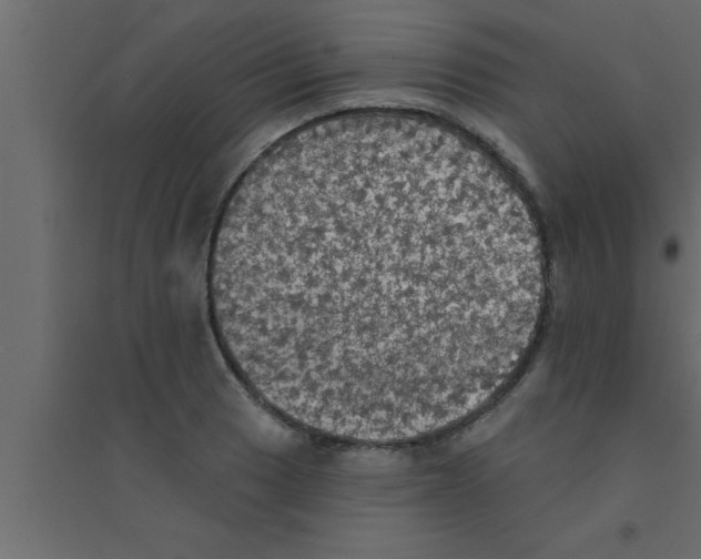 X0000094211033200711241655