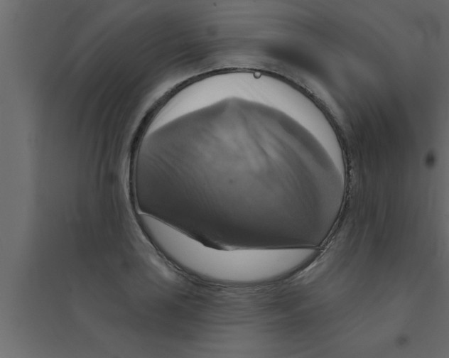 X0000094211035200711241655
