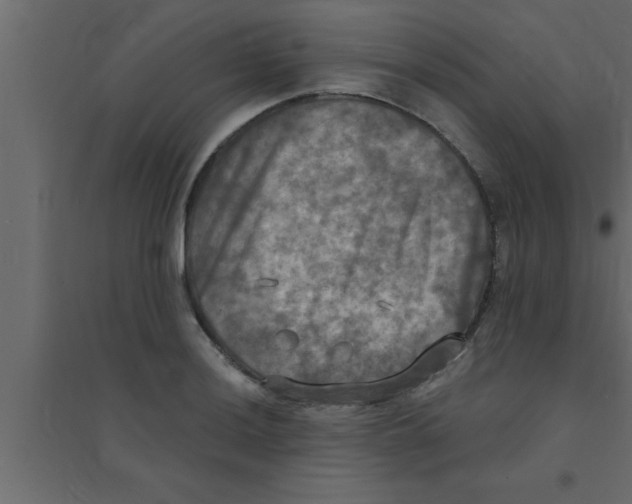 X0000094211036200711241655