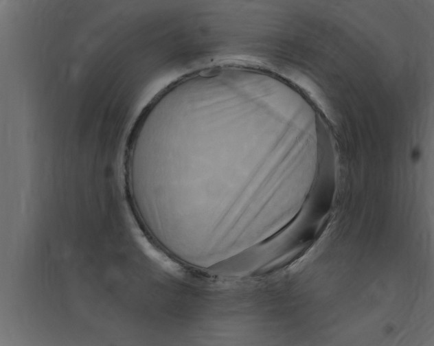 X0000094211038200711241655