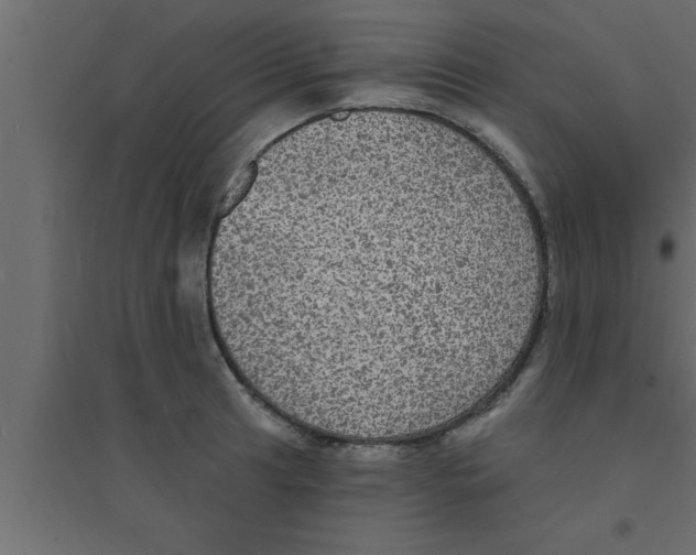 X0000094211041200711241655