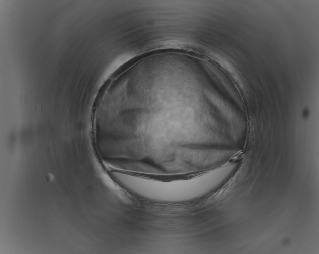 X0000094211042200711241655