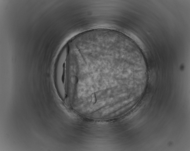 X0000094211043200711241655
