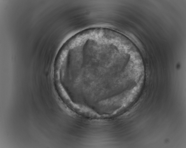 X0000094211044200711241655