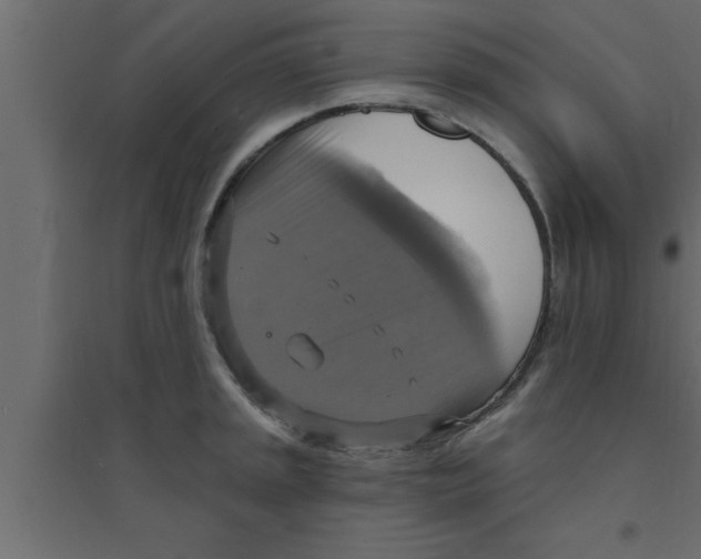 X0000094211045200711241655