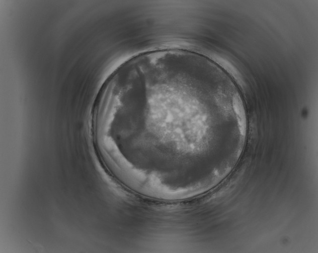 X0000094211047200711241655