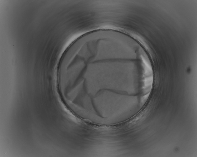 X0000094211048200711241655