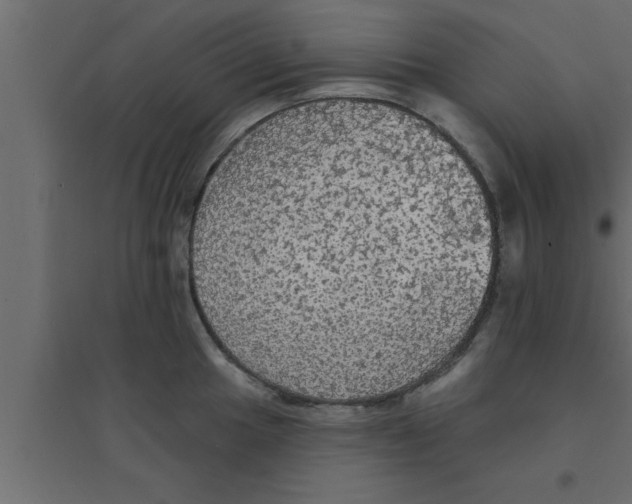 X0000094211049200711241655