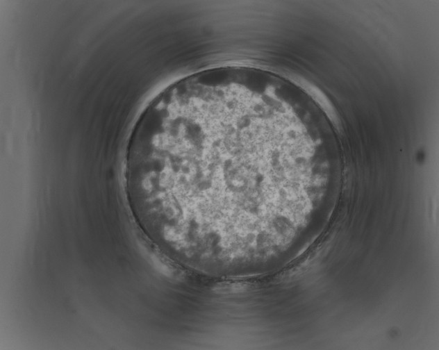 X0000094211051200711241655