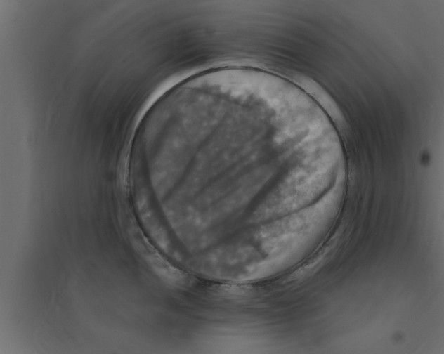 X0000094211052200711241655