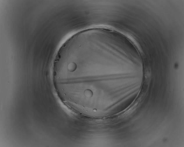 X0000094211054200711241656