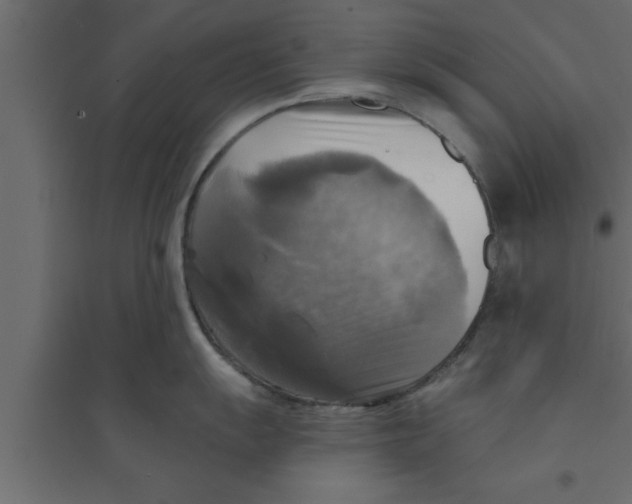 X0000094211055200711241656