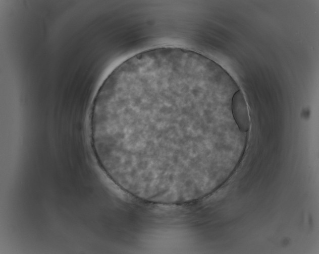 X0000094211056200711241656