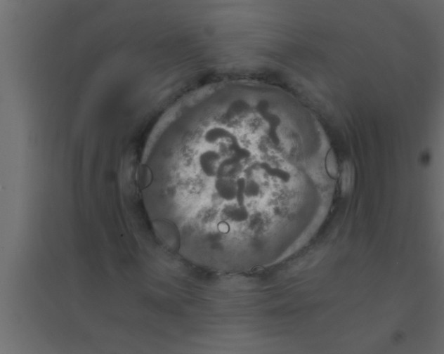X0000094211059200711241655