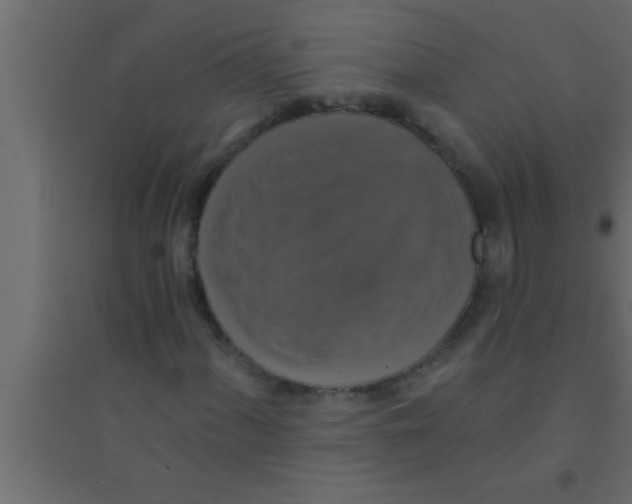 X0000094211060200711241655