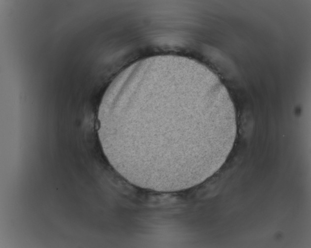 X0000094211061200711241655