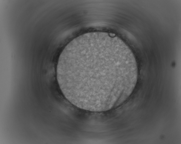 X0000094211062200711241655