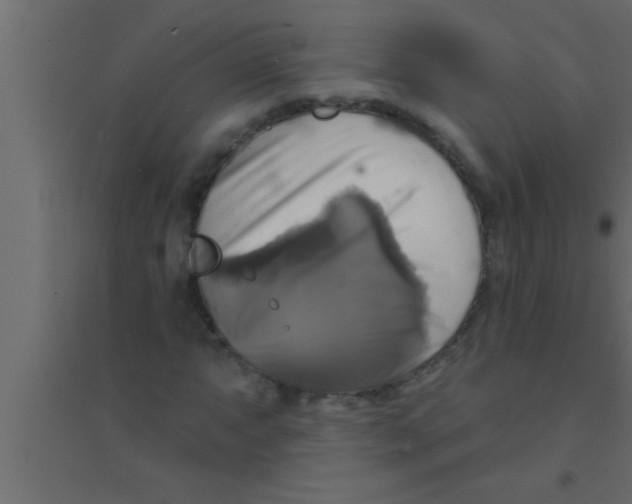 X0000094211063200711241655