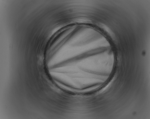X0000094211065200711241655