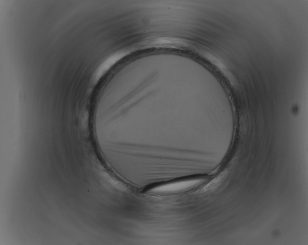 X0000094211066200711241655