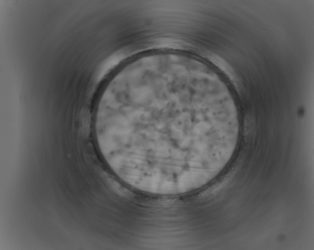 X0000094211067200711241655