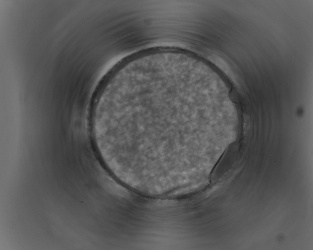 X0000094211068200711241655