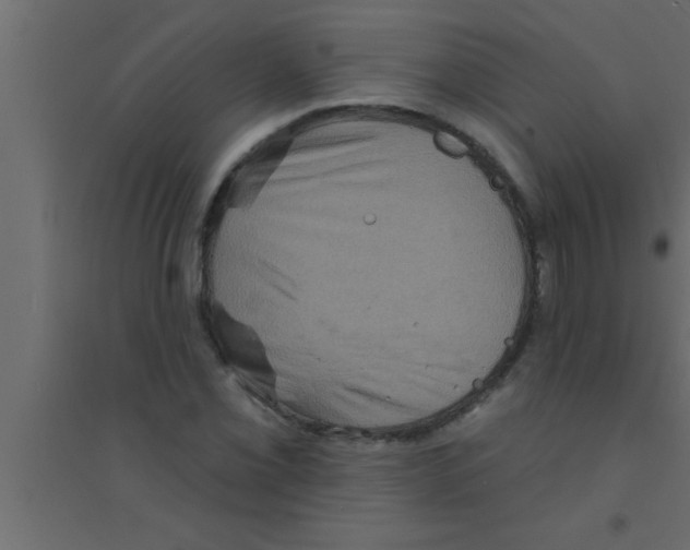 X0000094211069200711241655