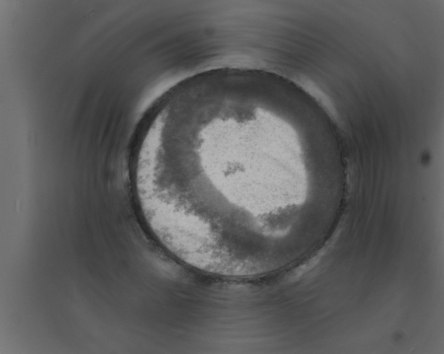 X0000094211070200711241655