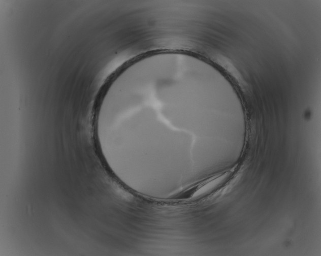 X0000094211071200711241655
