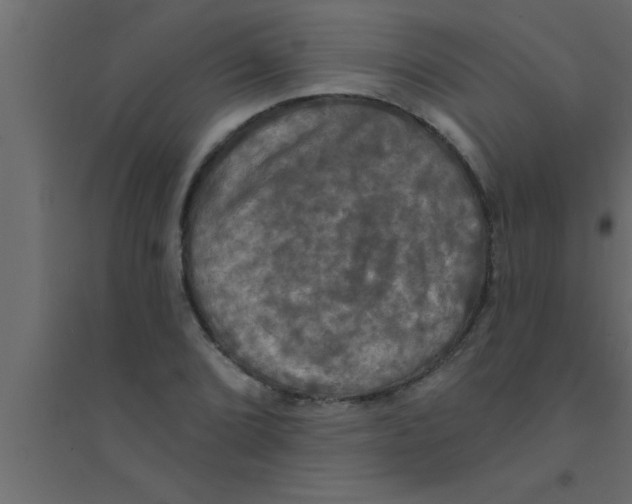 X0000094211072200711241655