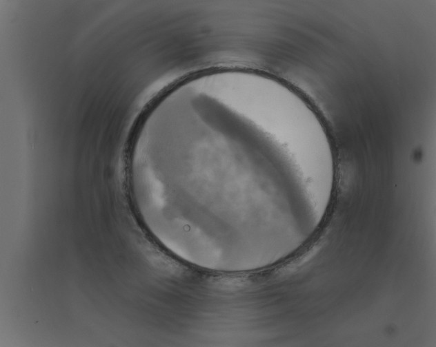 X0000094211074200711241655