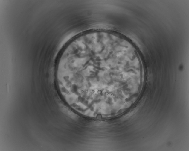 X0000094211075200711241655