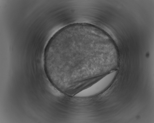 X0000094211076200711241655