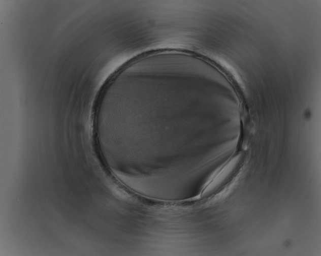 X0000094211077200711241655